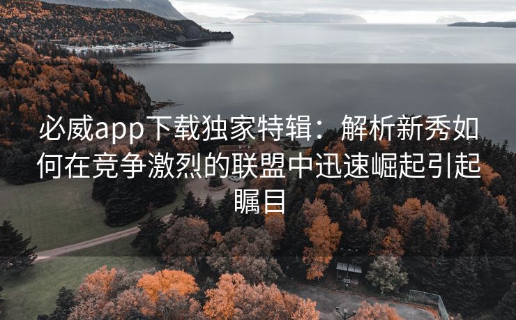 必威app下载独家特辑：解析新秀如何在竞争激烈的联盟中迅速崛起引起瞩目  第2张