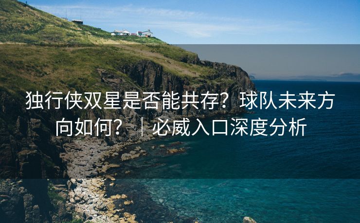 独行侠双星是否能共存？球队未来方向如何？｜必威入口深度分析