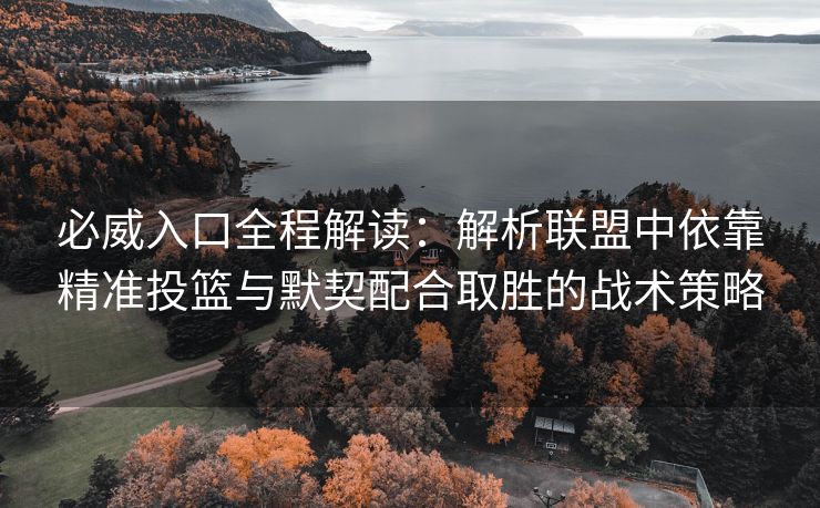 必威入口全程解读：解析联盟中依靠精准投篮与默契配合取胜的战术策略  第2张