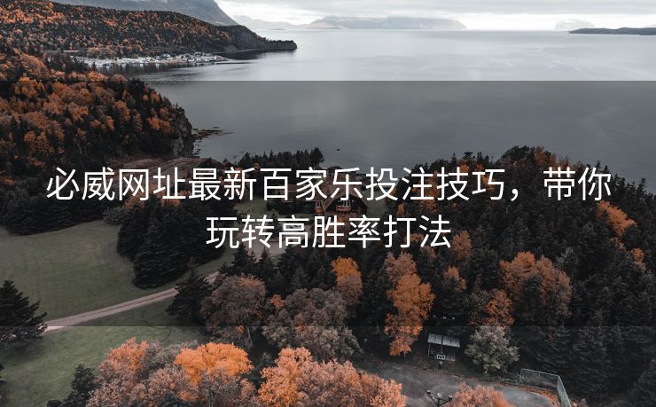 必威网址最新百家乐投注技巧，带你玩转高胜率打法  第2张