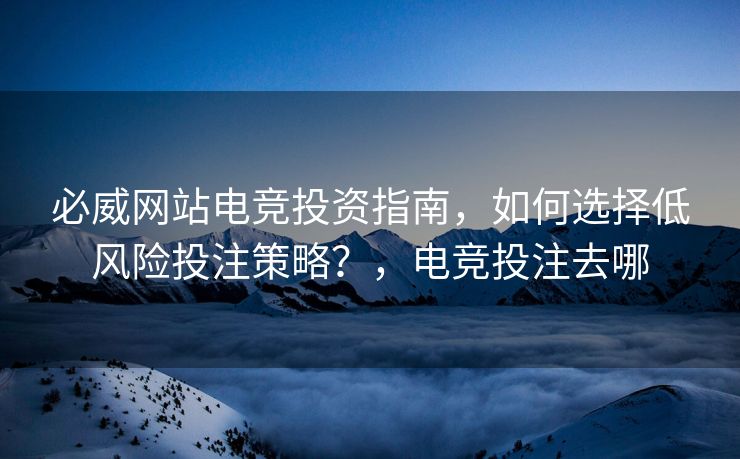 必威网站电竞投资指南，如何选择低风险投注策略？，电竞投注去哪