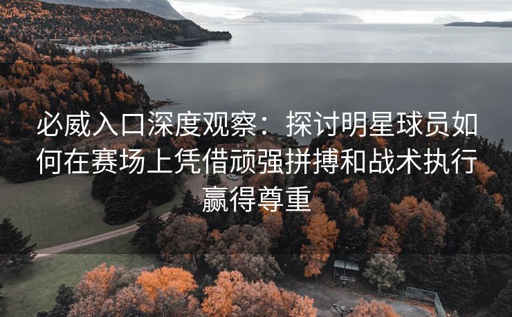 必威入口深度观察：探讨明星球员如何在赛场上凭借顽强拼搏和战术执行赢得尊重  第2张